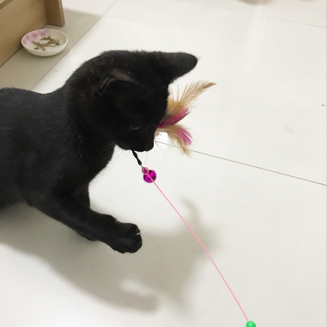 1pc-Cat-Toy-Stick-Feather-Wand-With-Bell-Mouse-Cage-Toys-Plastic-Artificial-Colorful-Cat-Teaser-4.jpg